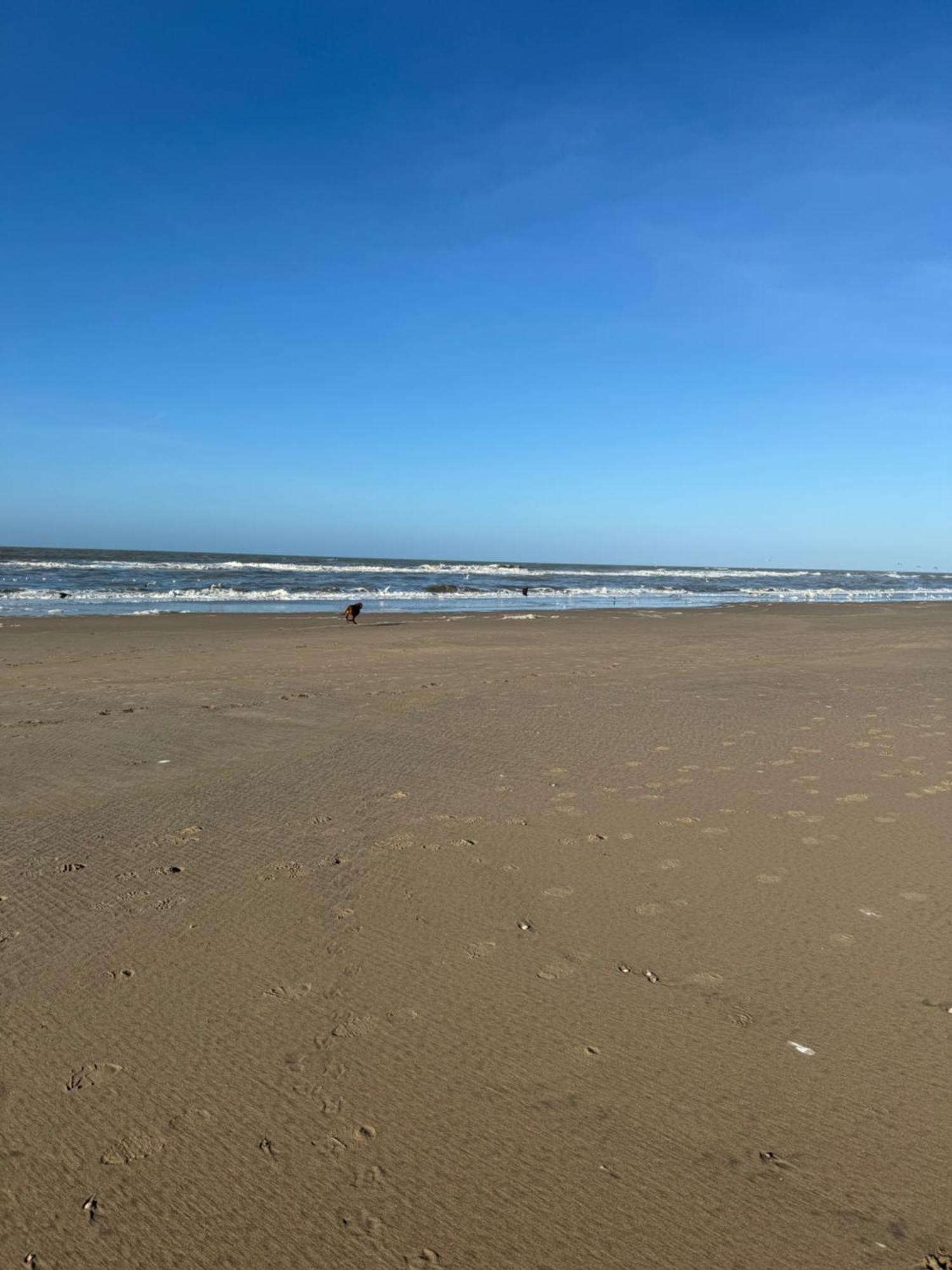 Guesthouse West Noordwijk Εξωτερικό φωτογραφία