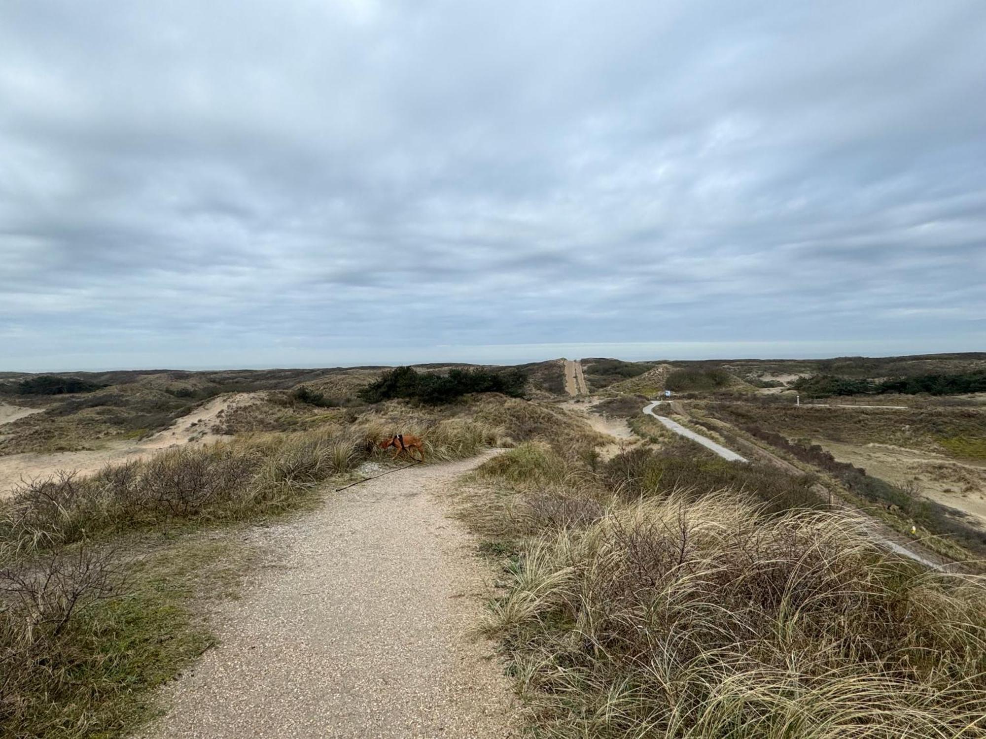 Guesthouse West Noordwijk Εξωτερικό φωτογραφία
